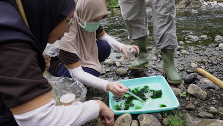 Collecting water samples at the MVSE 2023 training in Indonesia