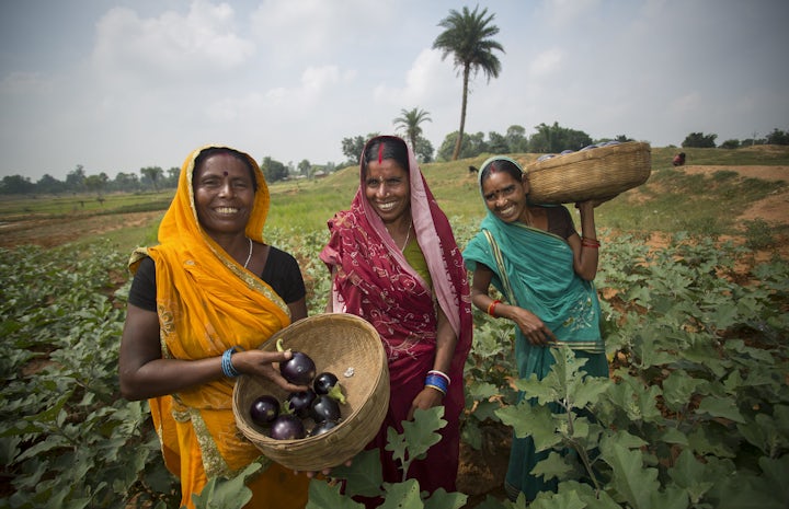 Photo of three women in colourful saris smiling in a field. Photo credit: USAID India