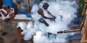 India fumigation  maciej dakowicz