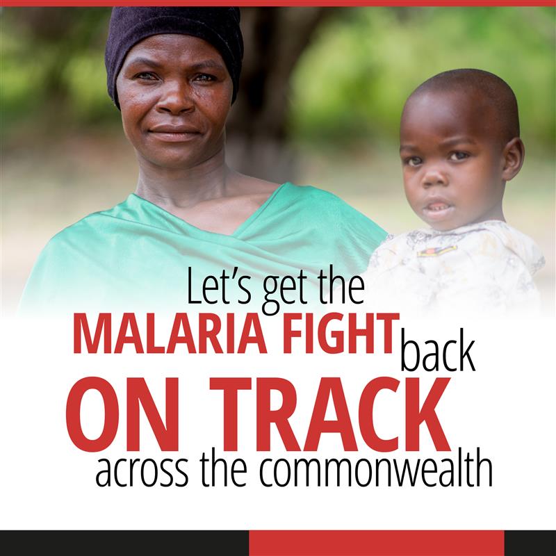 Commonwealth malaria report social card (002)