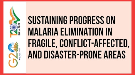 T20 policy brief on malaria and disaster management