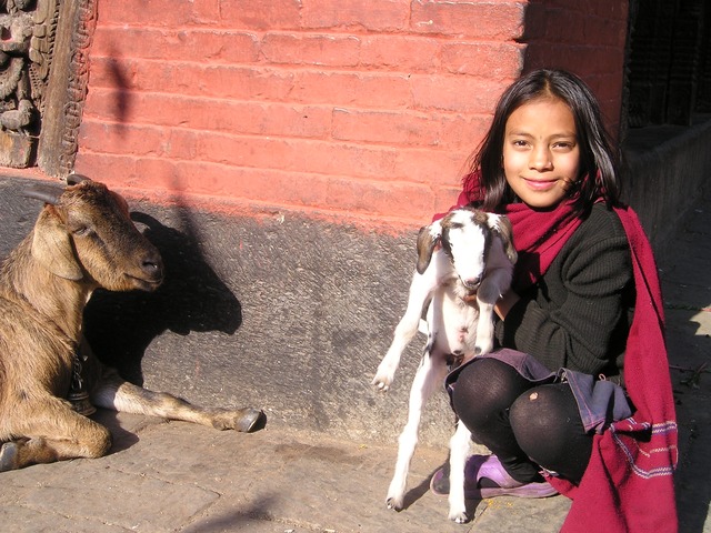 Young woman with Goats in Nepal. Photo credit: Simon 2010, Pixabay
