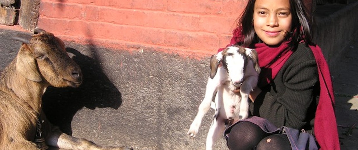 Young woman with Goats in Nepal. Photo credit: Simon 2010, Pixabay